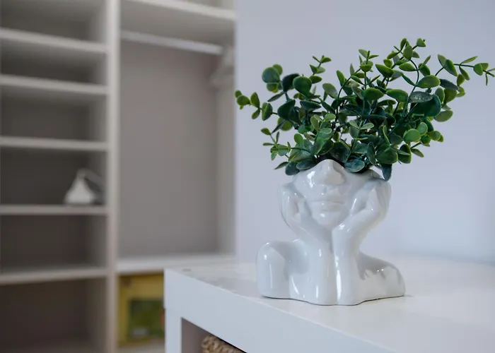 Διαμέρισμα Special 2009 Σουμπότικα